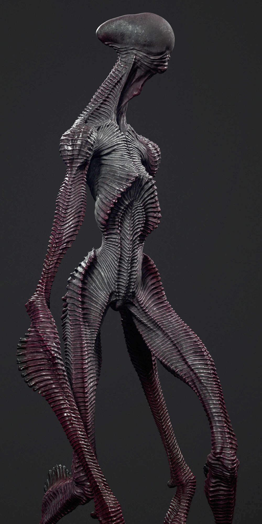 ribbon zbrush