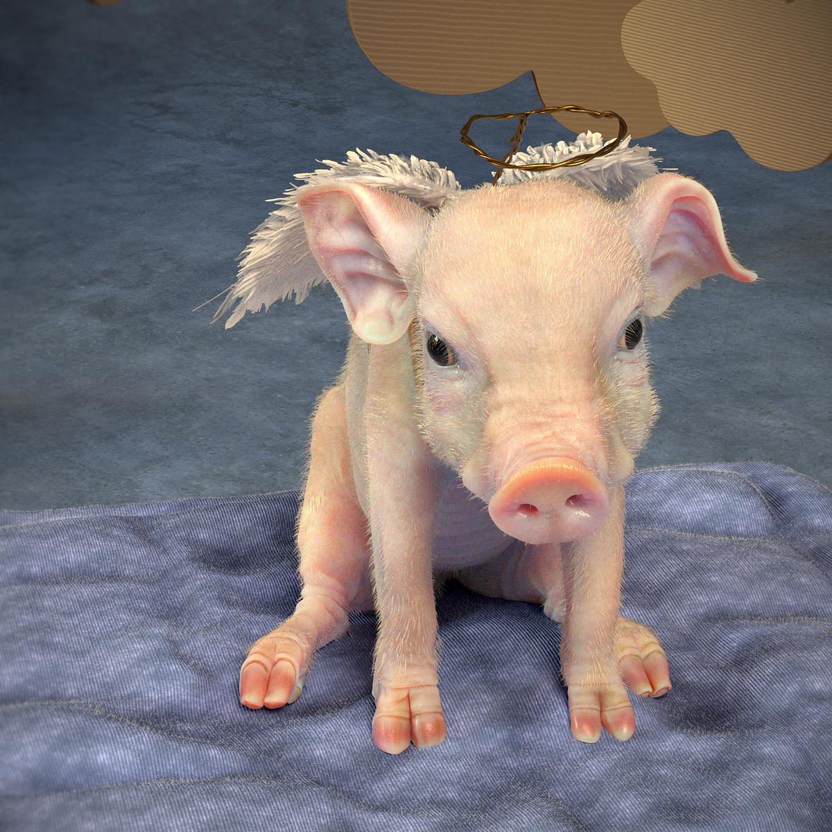 LittlePig_1.0006