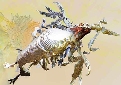 Sea Rooster in corrals pastel  horiz