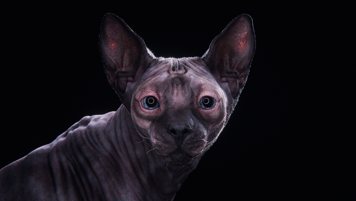 sphynx_005_grading_MQ