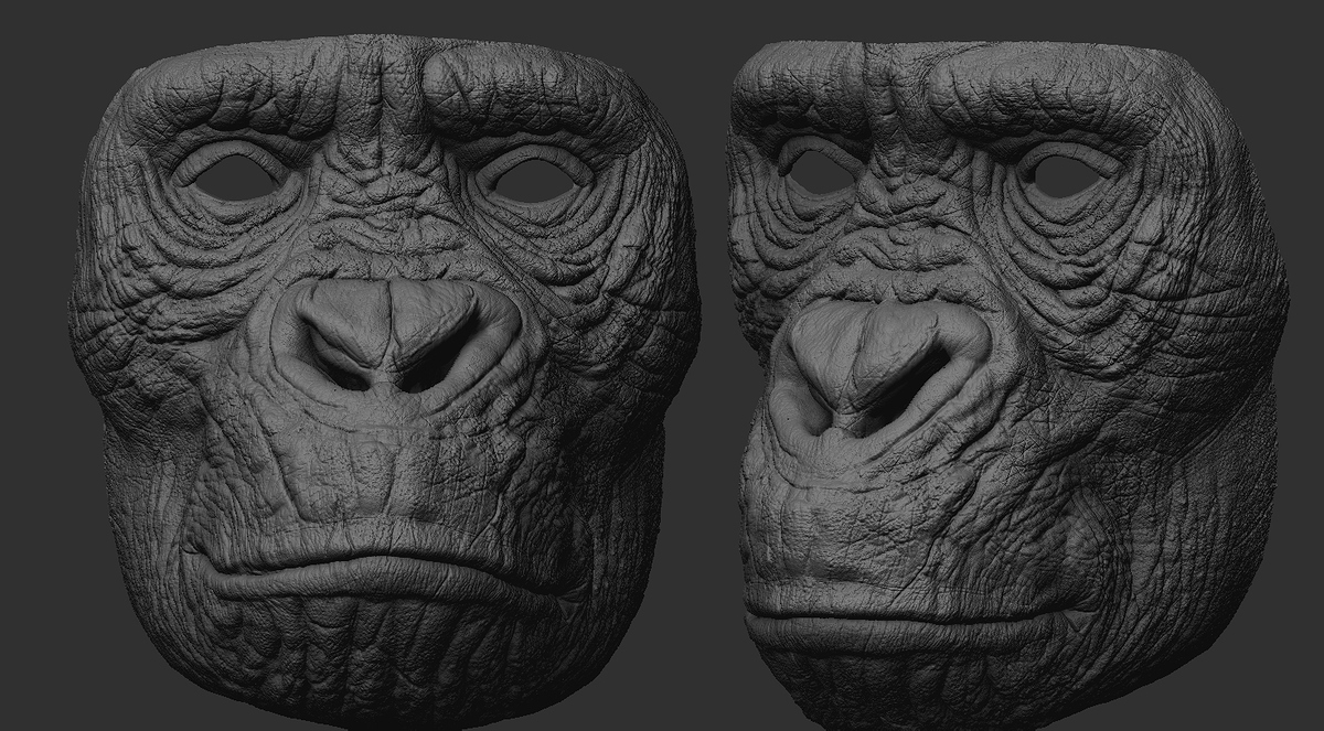 Chimp-05