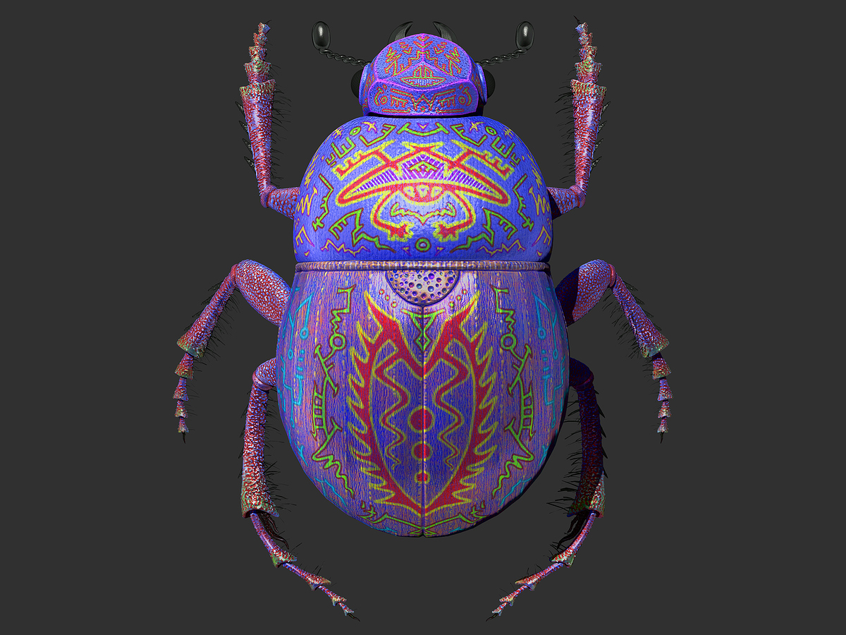 Beetle%20Back%20-%20No%20Wings