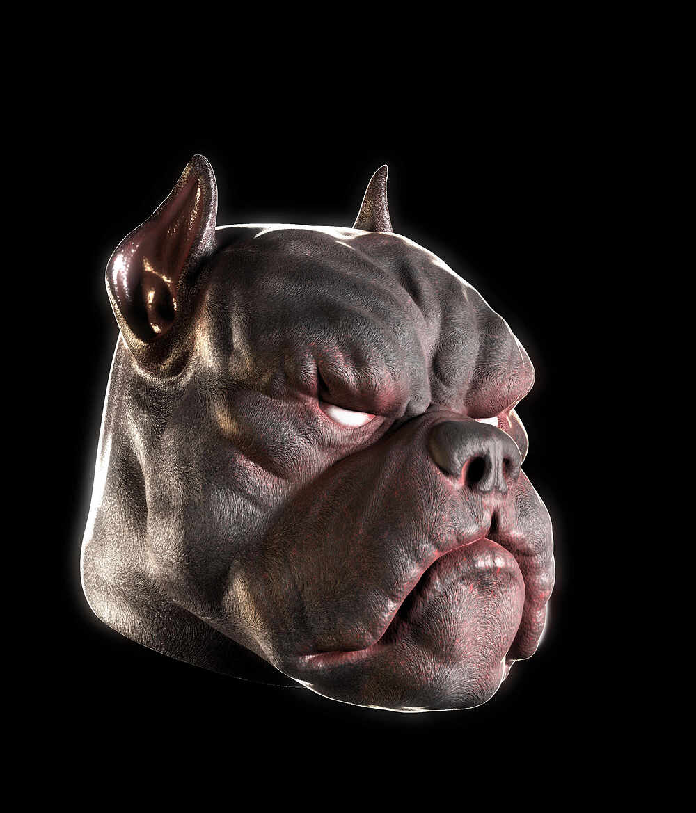 pitbull