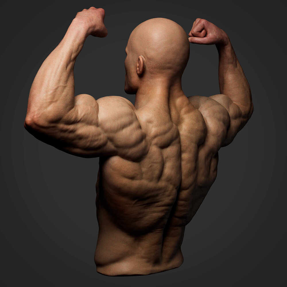 back_angle2