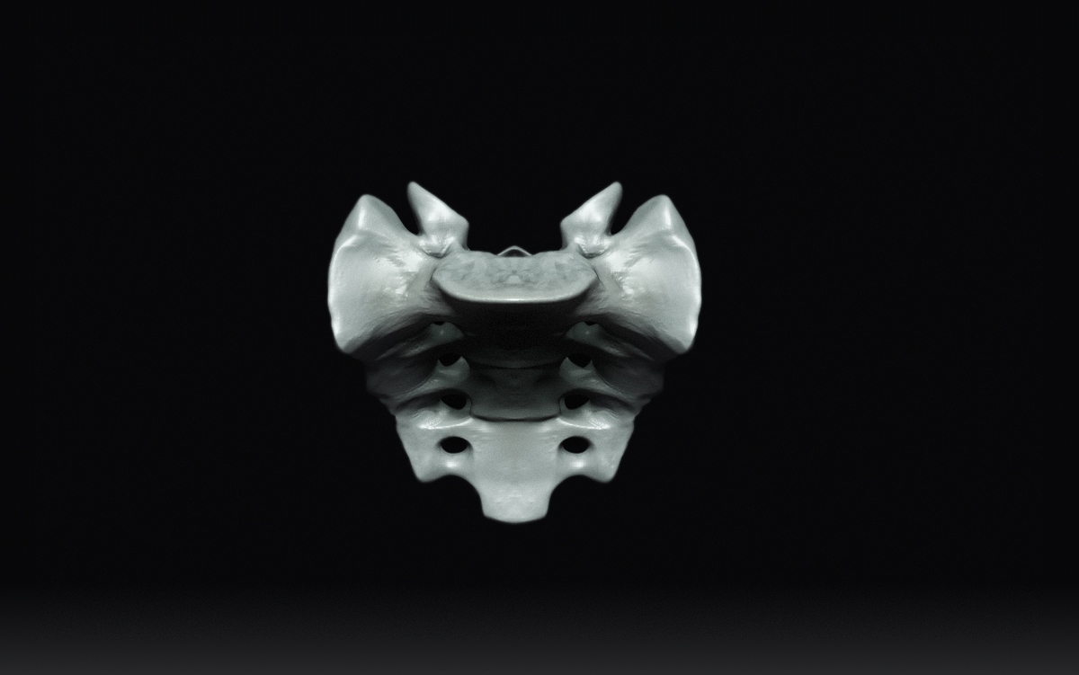 Sacrum