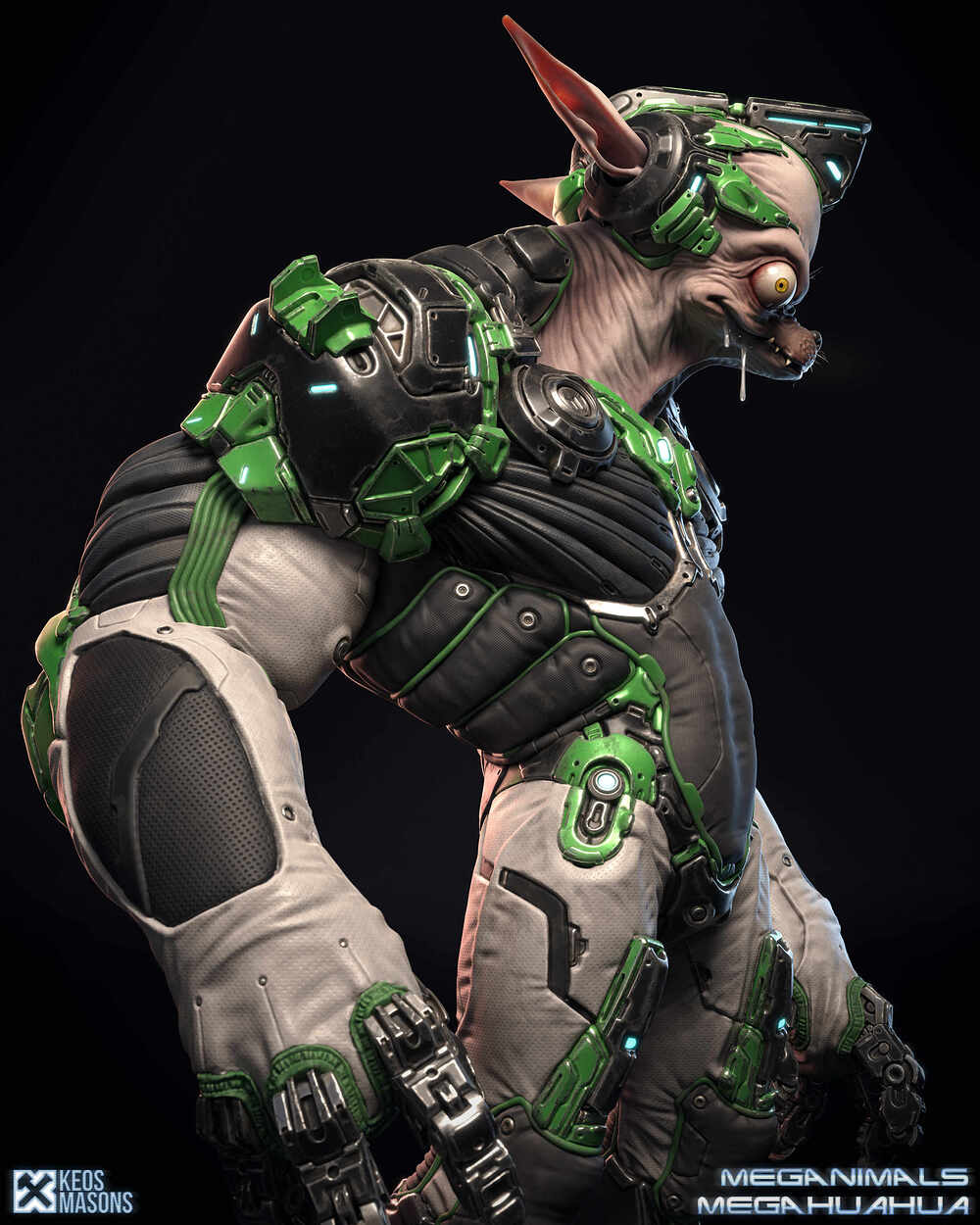 Megahuahua_08