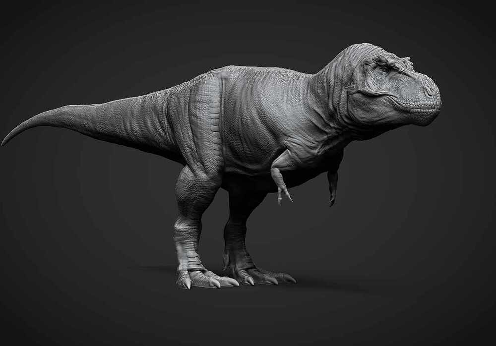 trex3