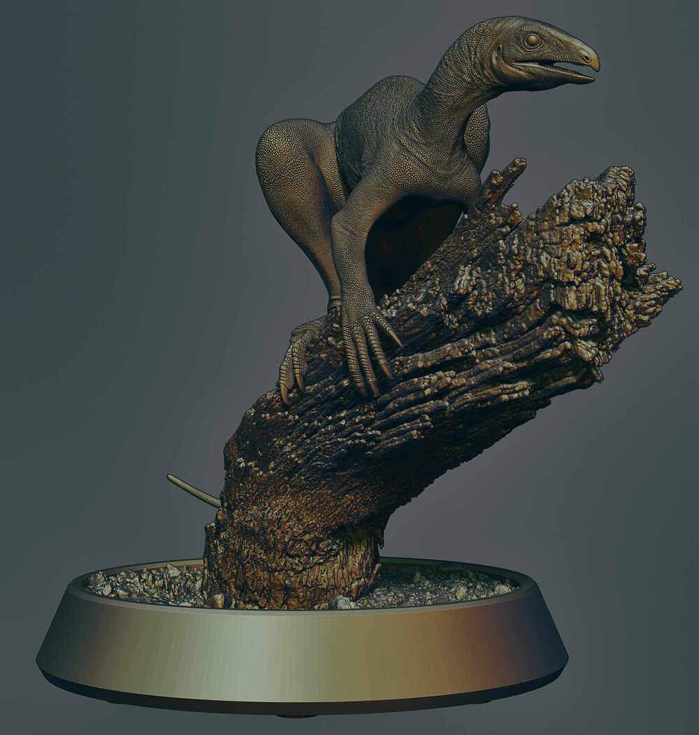 Venetoraptor-gassenae07