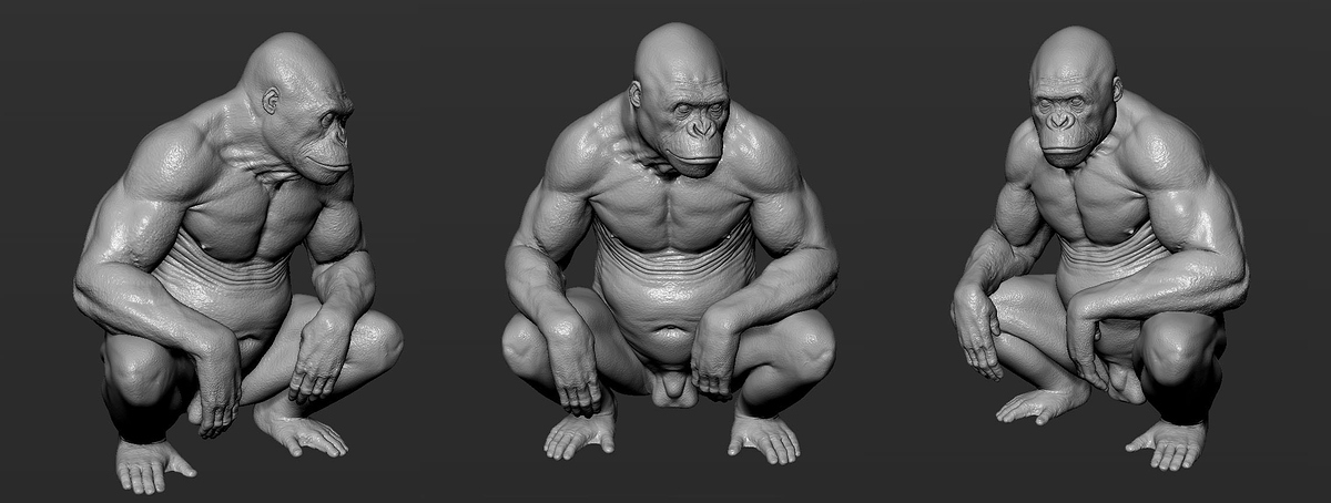 ApeHairZtool_03