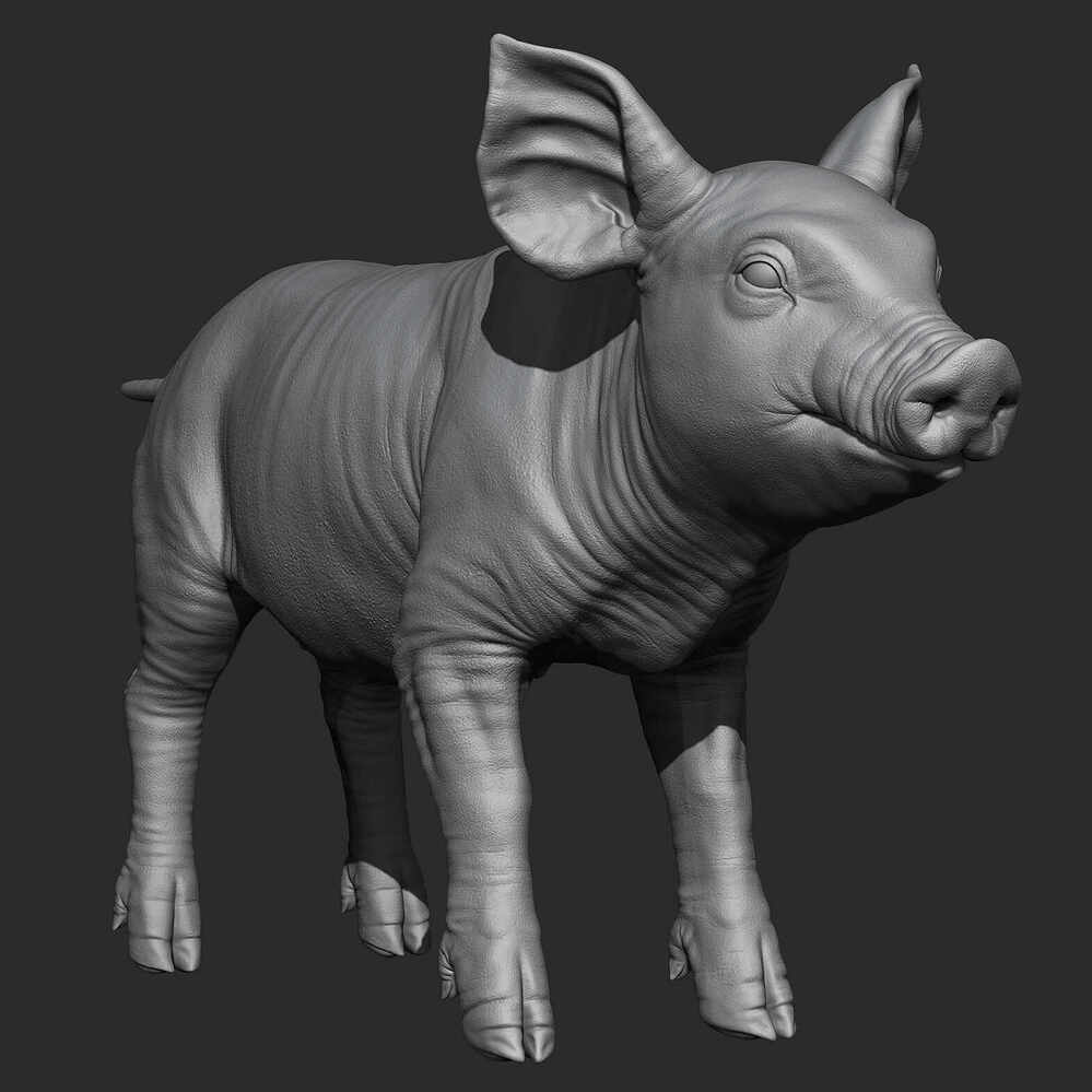 main render 2
