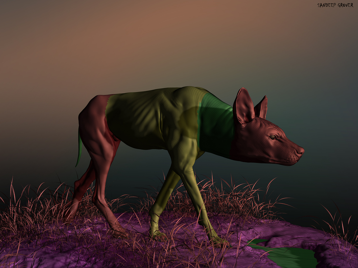 Wild_Dog_WF