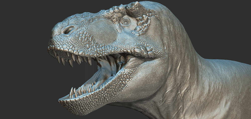 ZBrush Document5