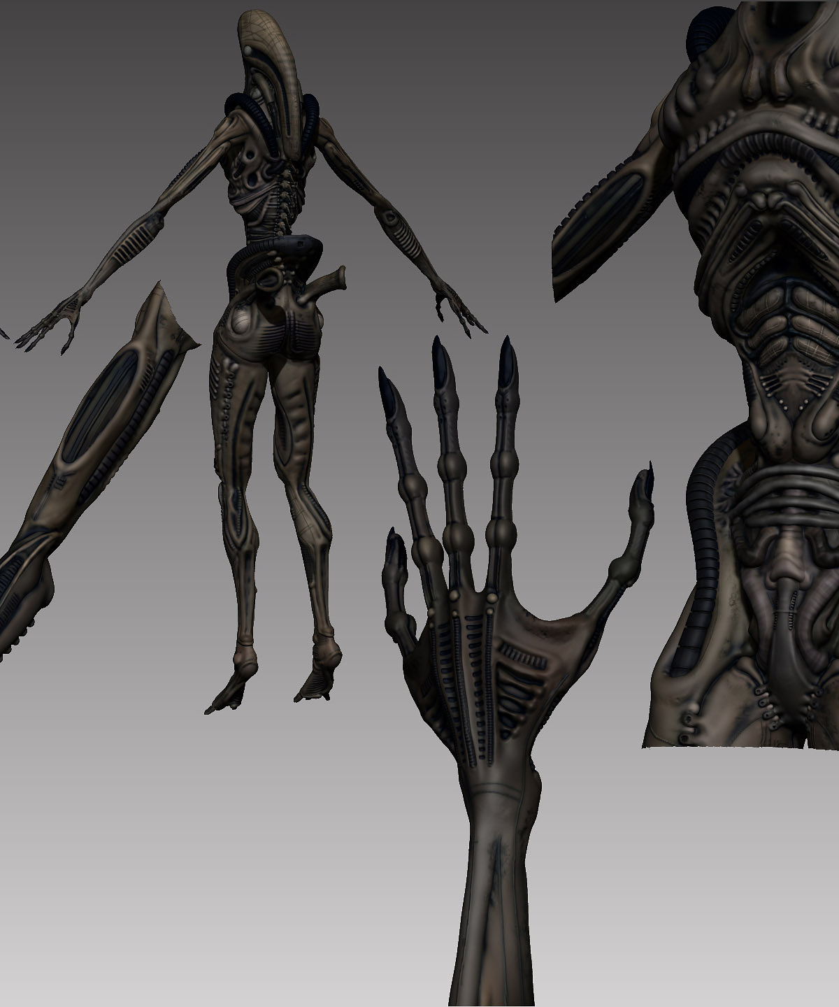 biomechB-nasty-wip31b.jpg