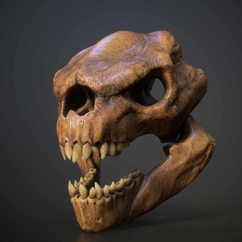 skull_FullQuality_001