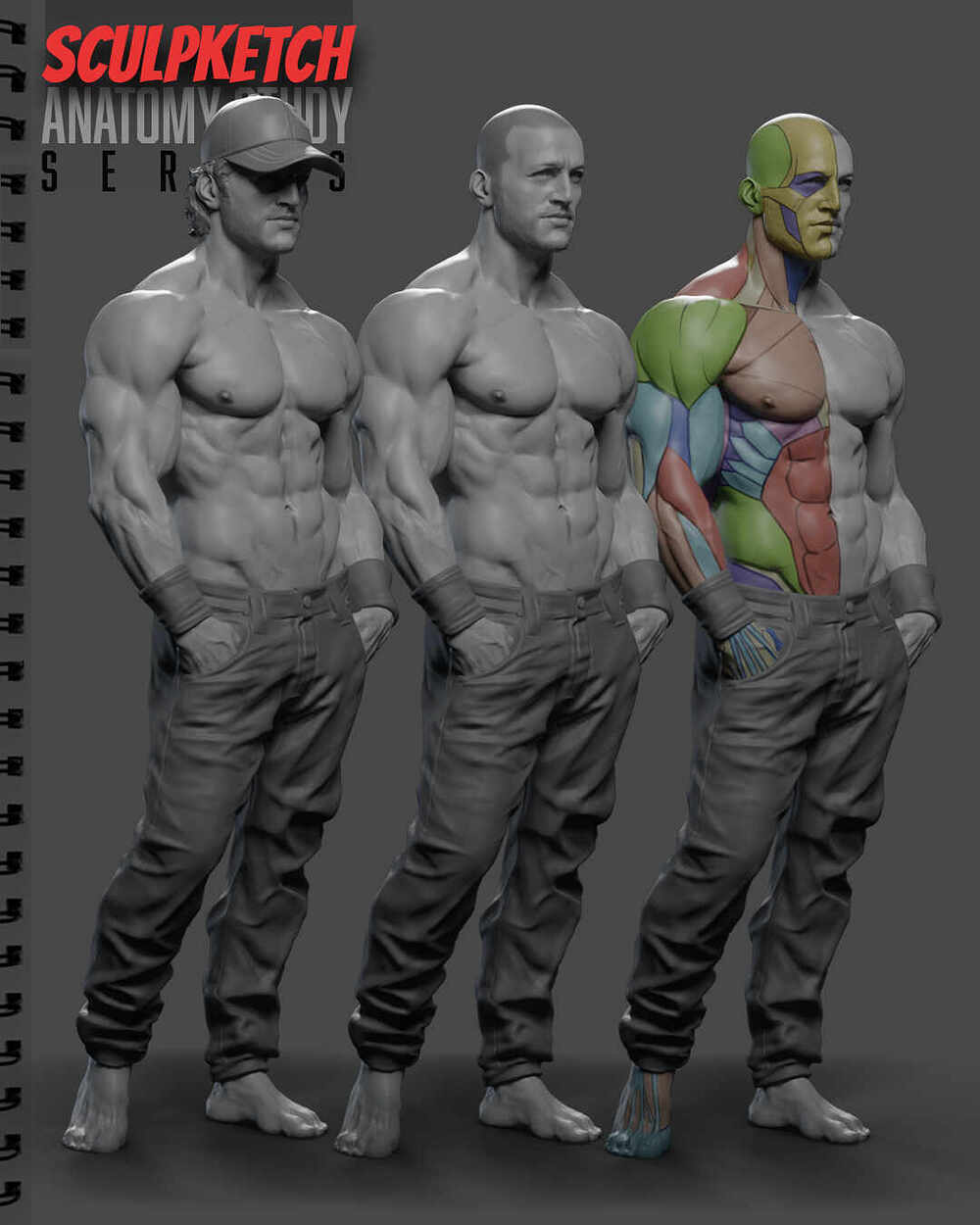 MaleAnatomyStudyPage01_ZbrushRenders_05