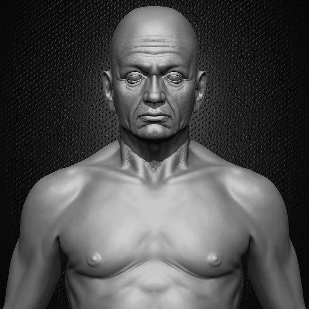 Old Man Basemesh 3D Model By Yacine BRINIS Anatomy Set 017