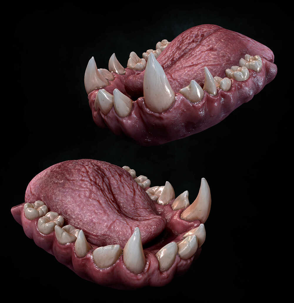 gum