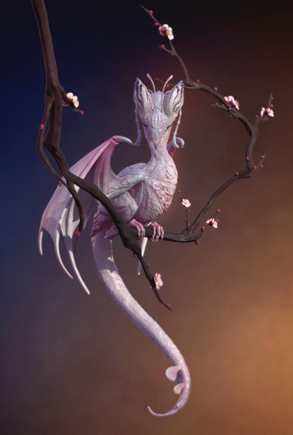 IMG_5373(20200429-001714)