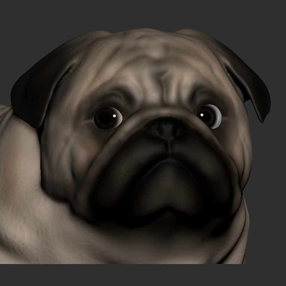 Lupito Pug (4)