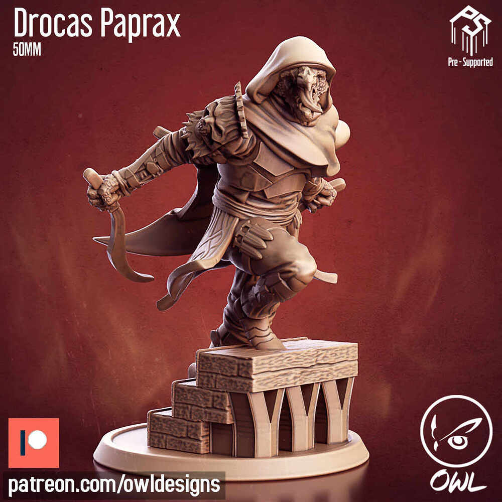 Owl_Drocas_Paprax_50mm_04