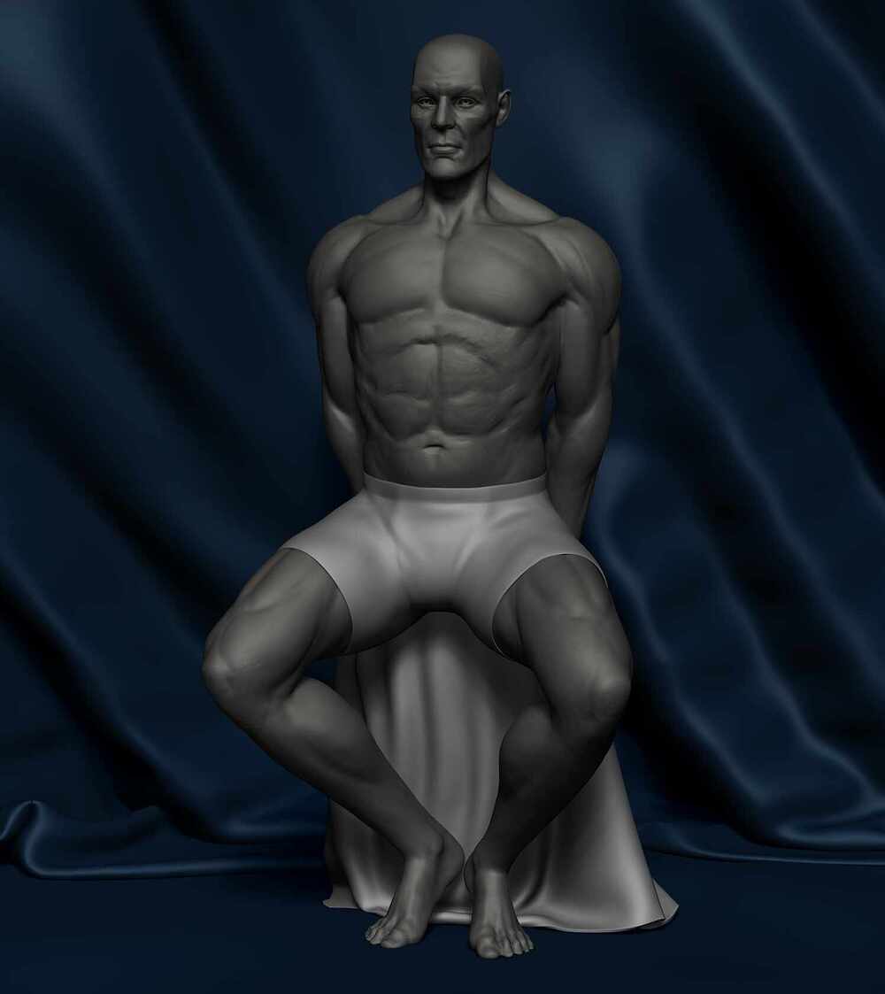 Anatomy_Study_Hamid_Reza_Afshar_01