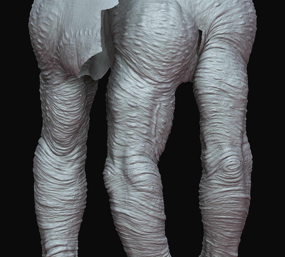Highpoly_Arms