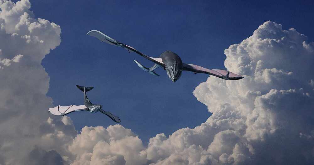 whale_clouds
