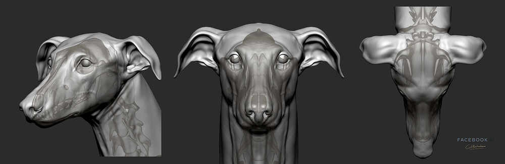 gael-kerchenbaum-galgo-breakdown-01-005