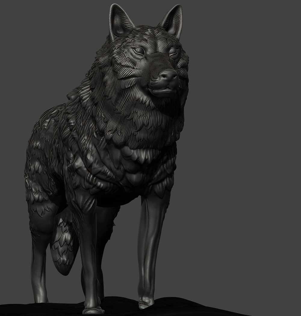 wolf