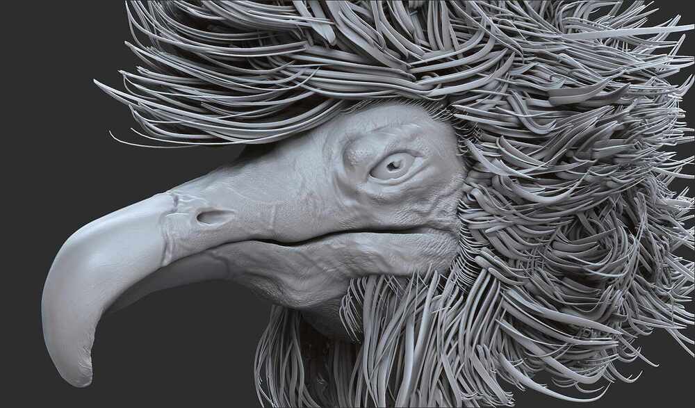 Birb2