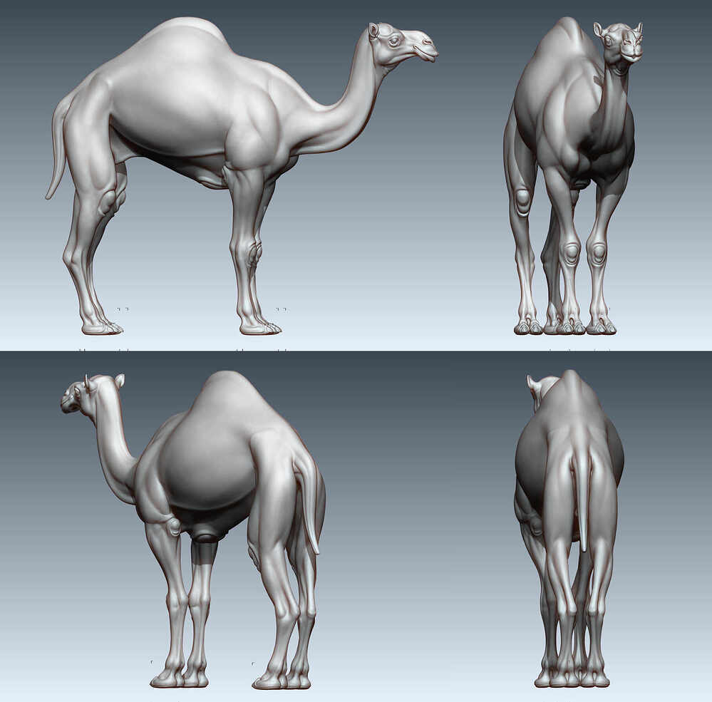 figure_ortho_hp_0305