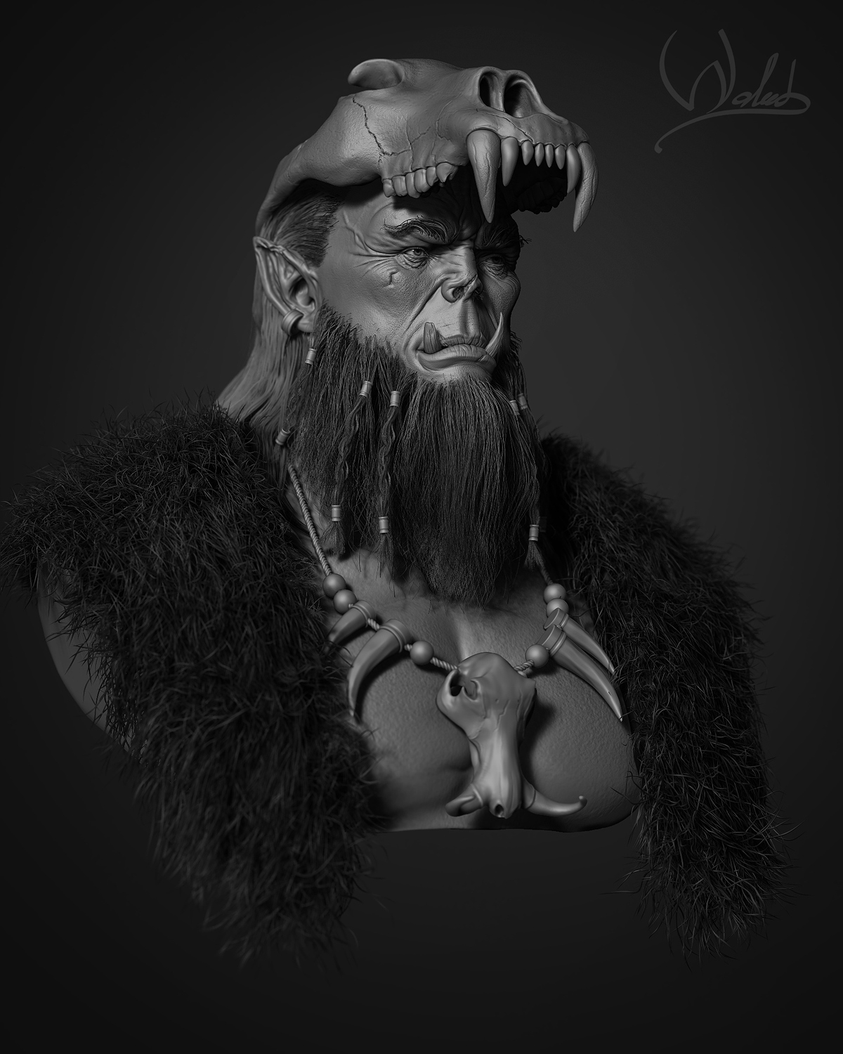 Orc_view4_comp
