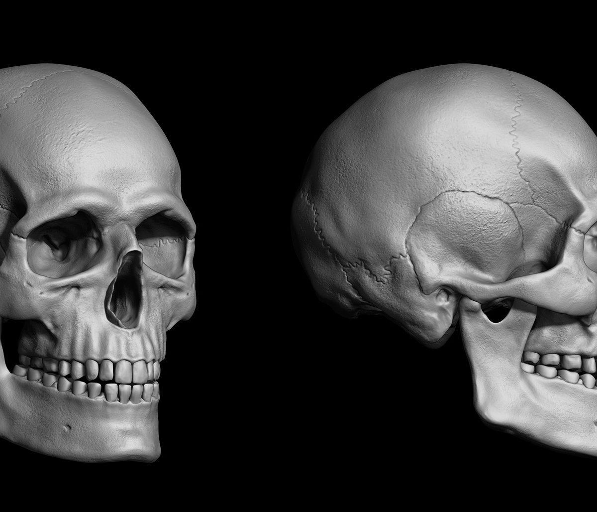 skull.jpg