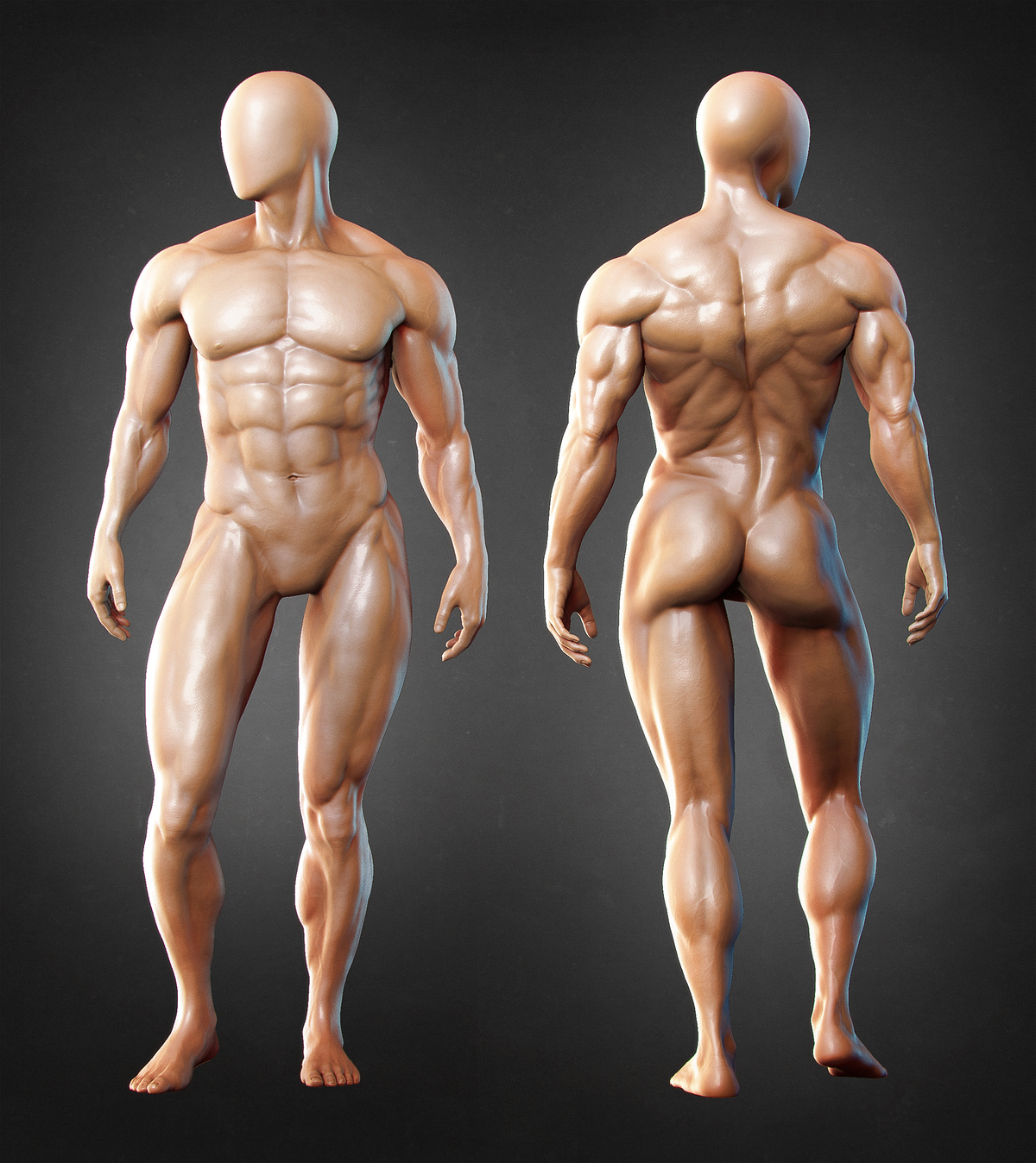 muscle_render