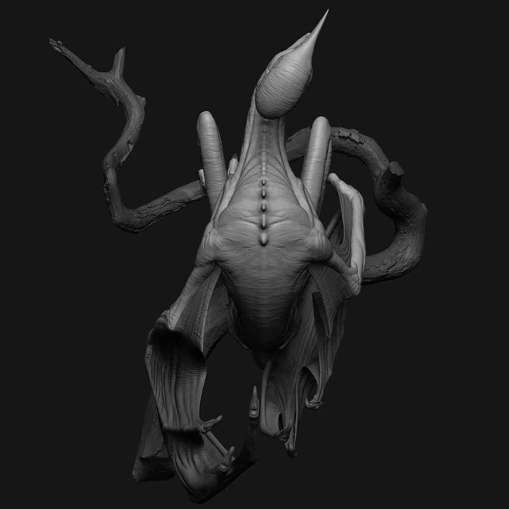 Harpy_Body_top_ZB_V001