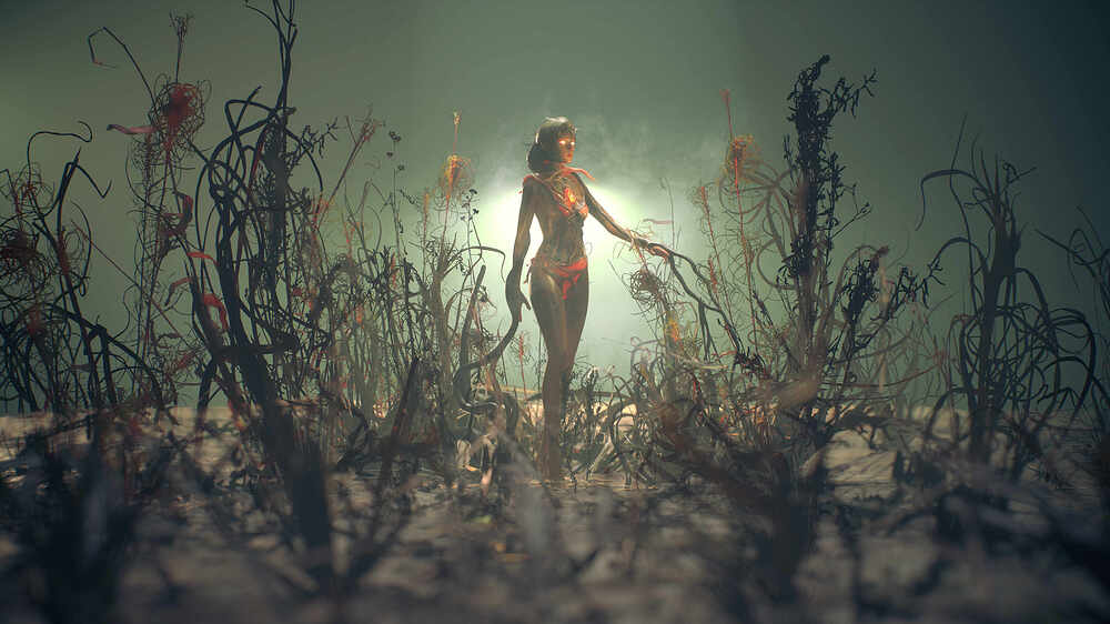 BeautyShot_4K
