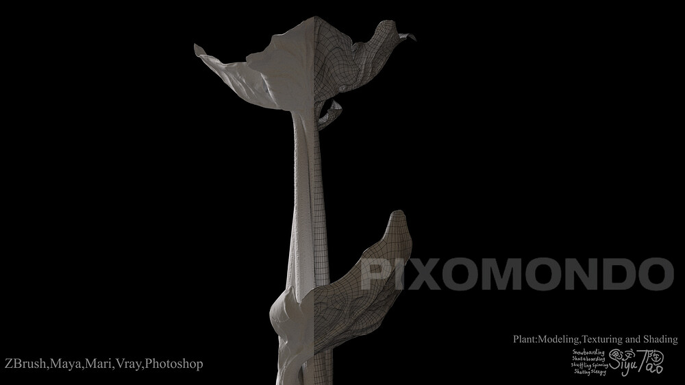 ShowreelLVP_00256