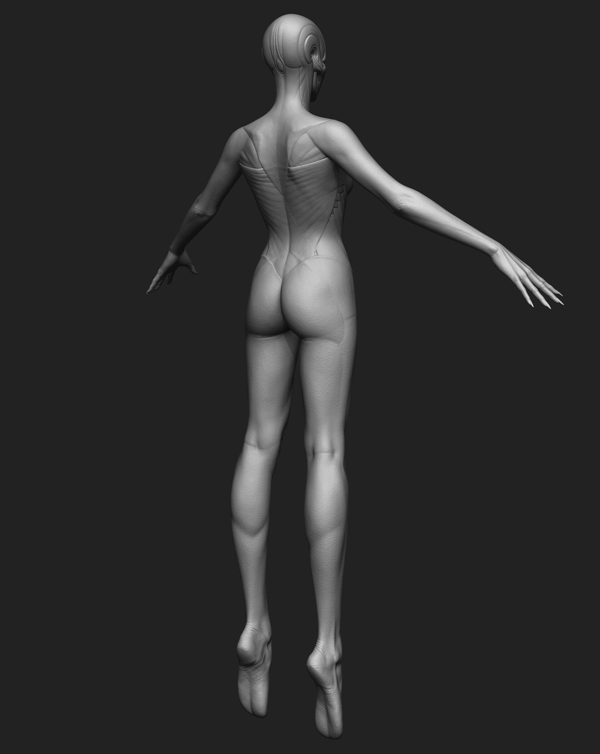 konrx-krolikowski-buttefly-all-zbrush-back-3