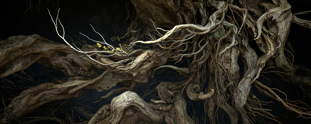 Roots of the Haligtree