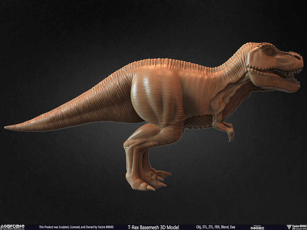T-Rex Basemesh 3D Model (Tyrannosaurus Rex) Sculpted By Yacine BRINIS Set 005
