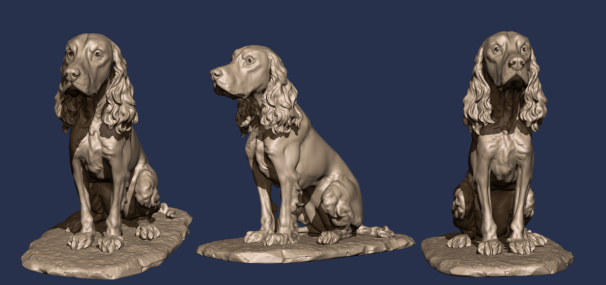 spaniel_study