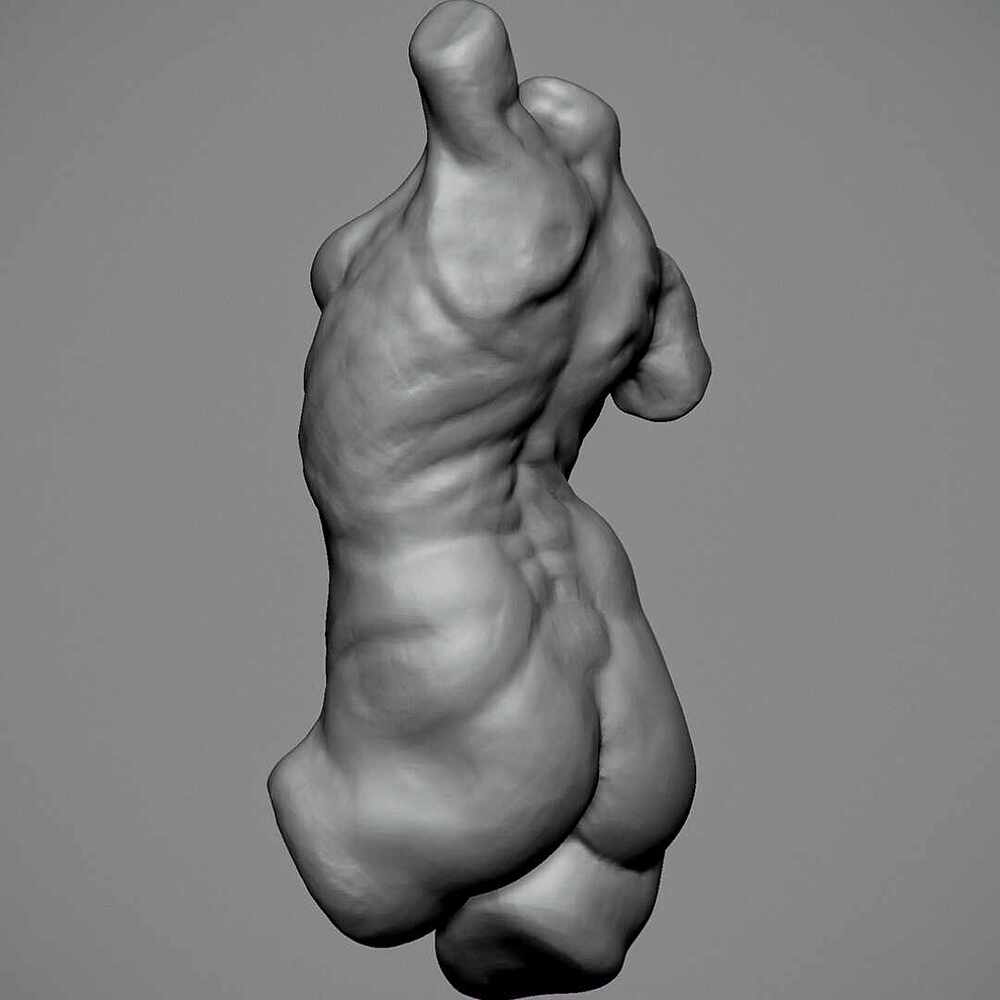 female-torso-back-side