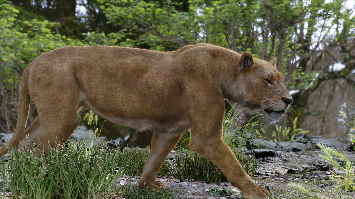 LEOA_RENDER_02