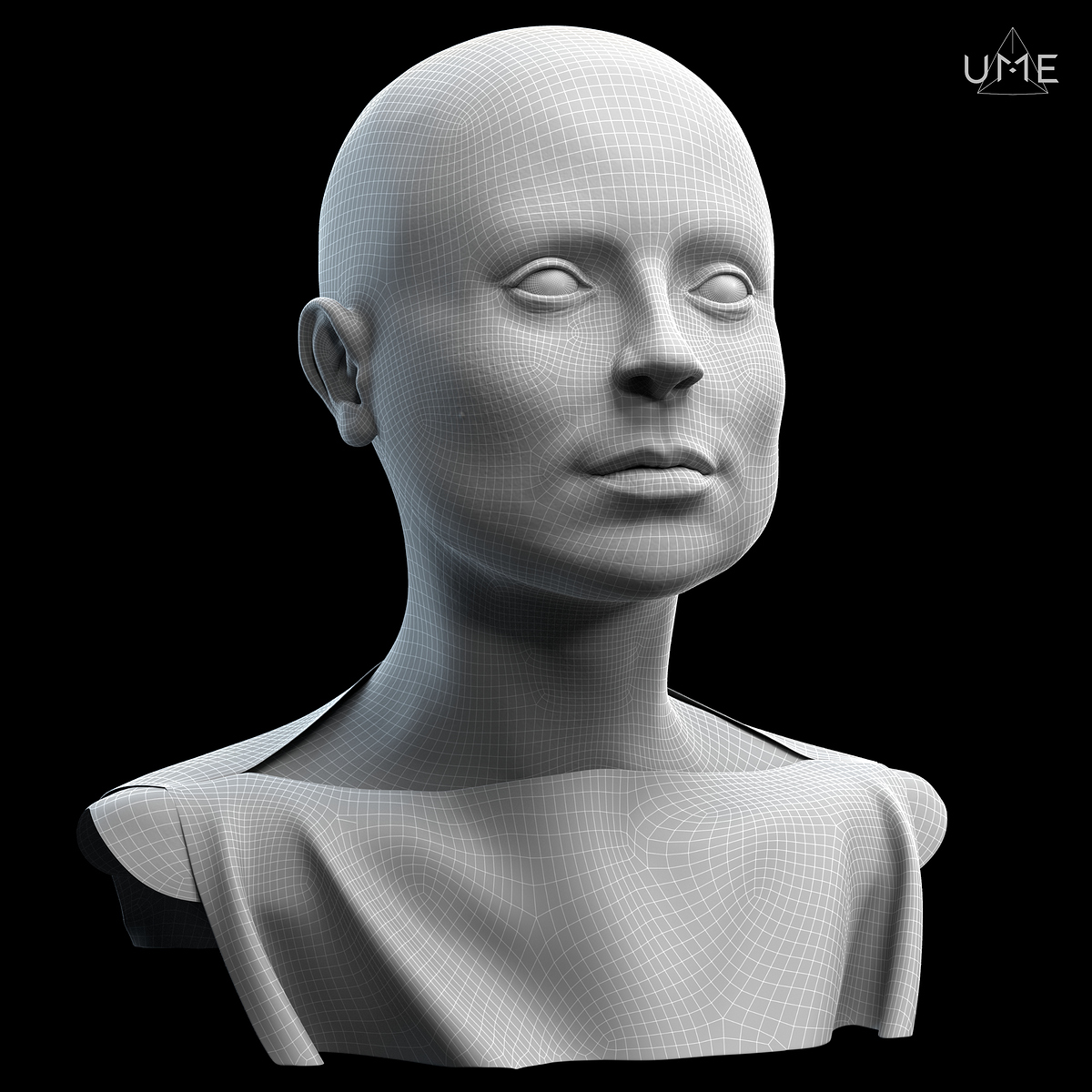 wireframe