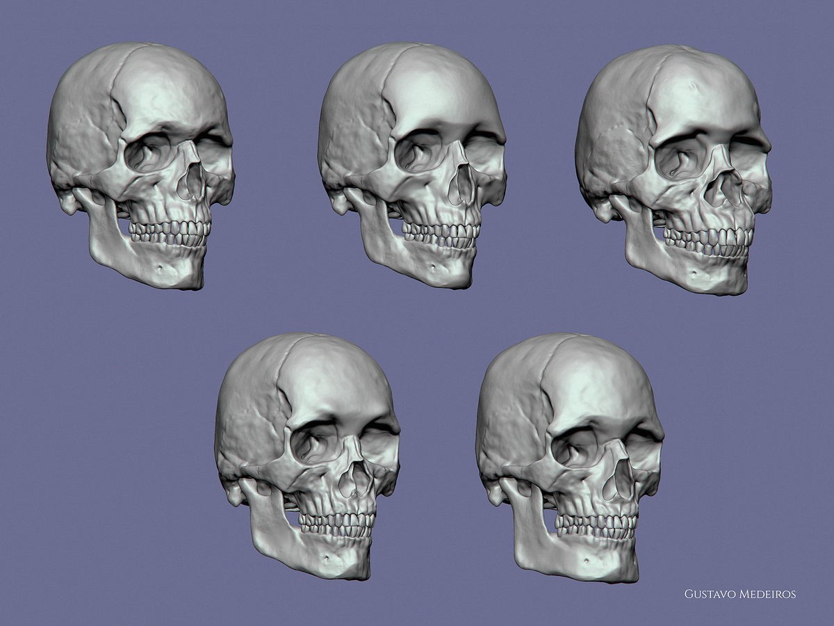 skulls1