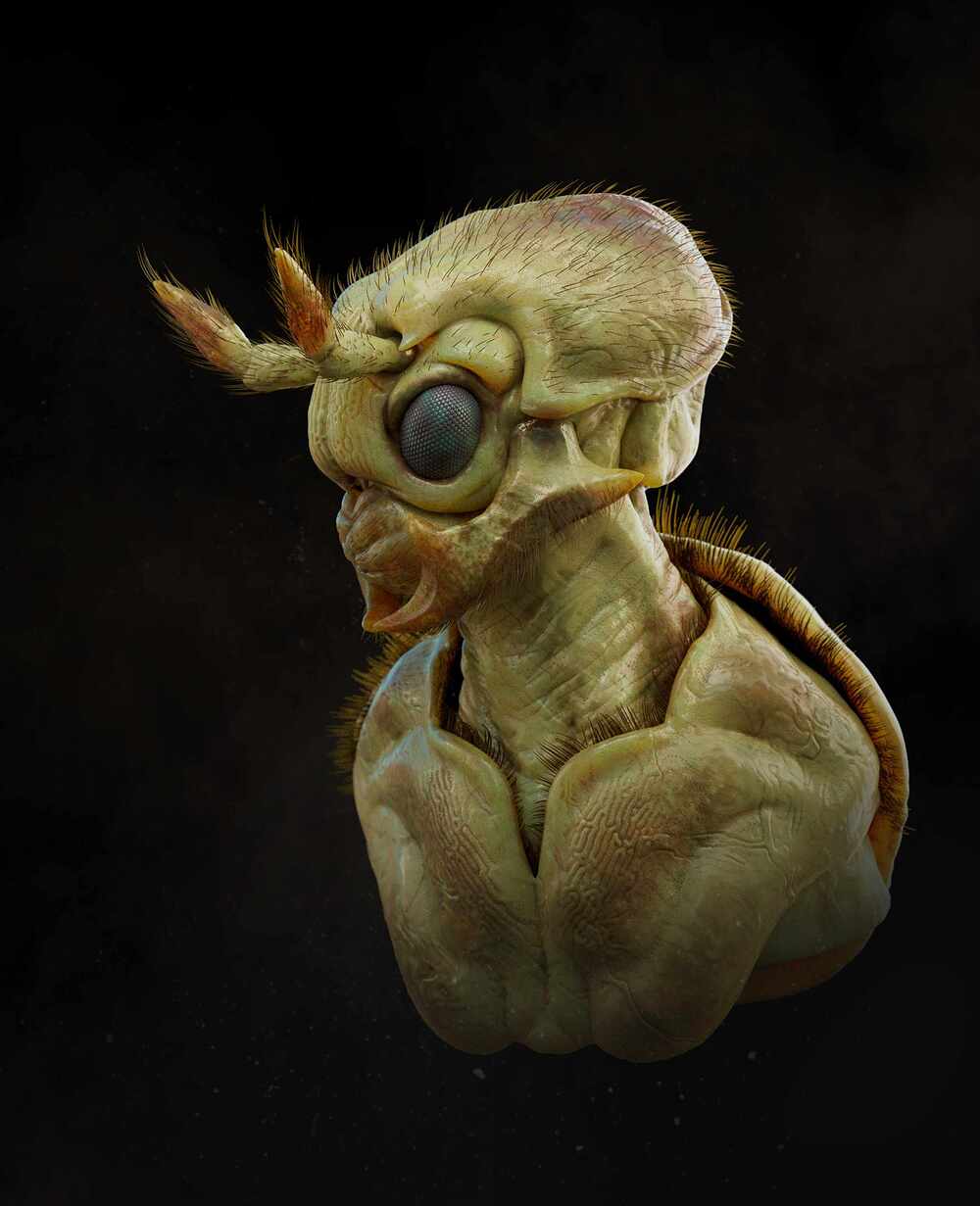 Creature_01_01