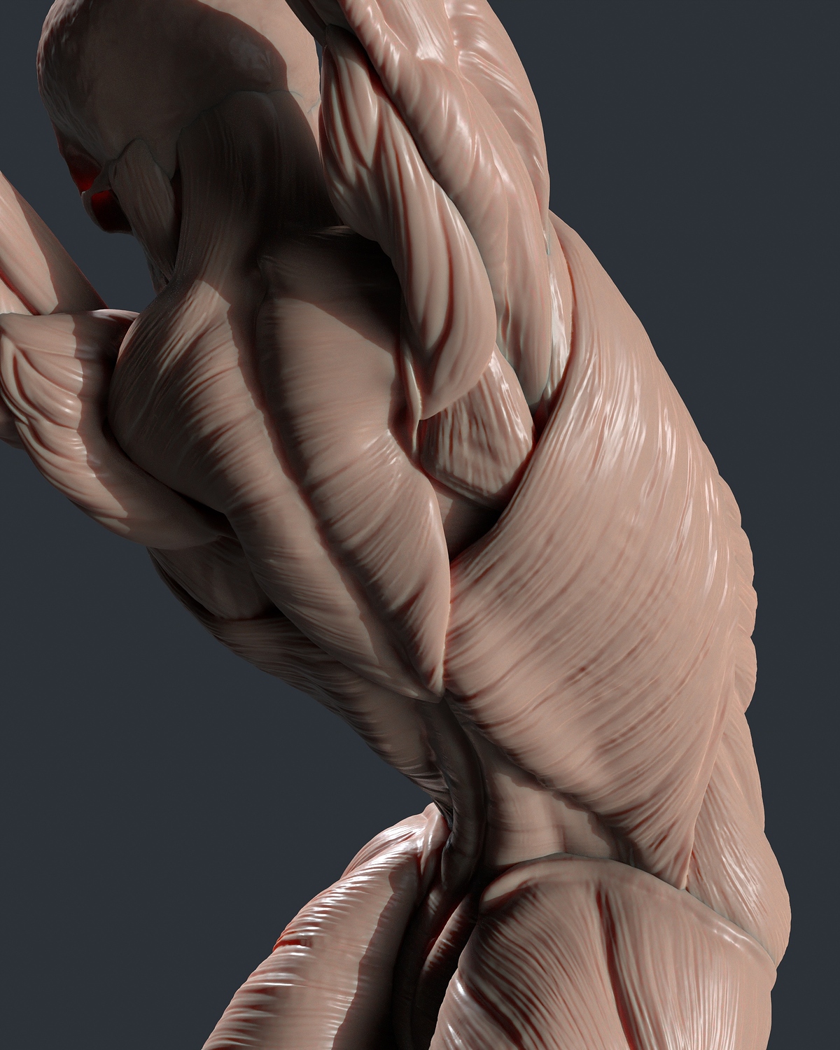tbrender_Viewport_013