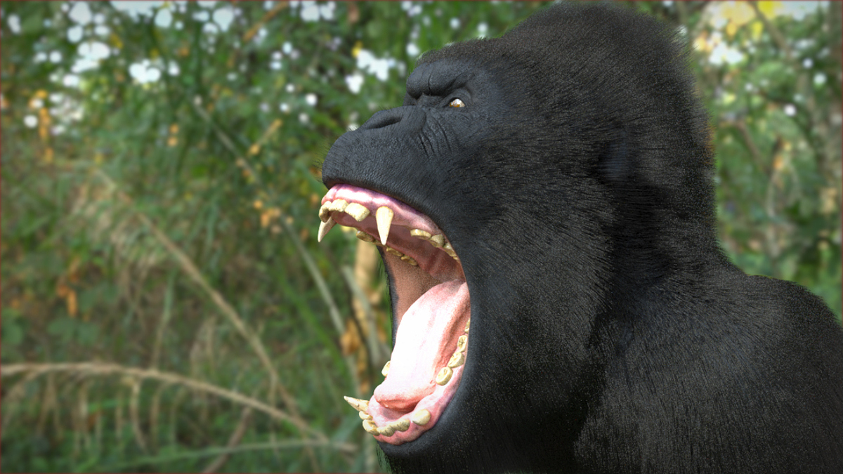 GORILLA