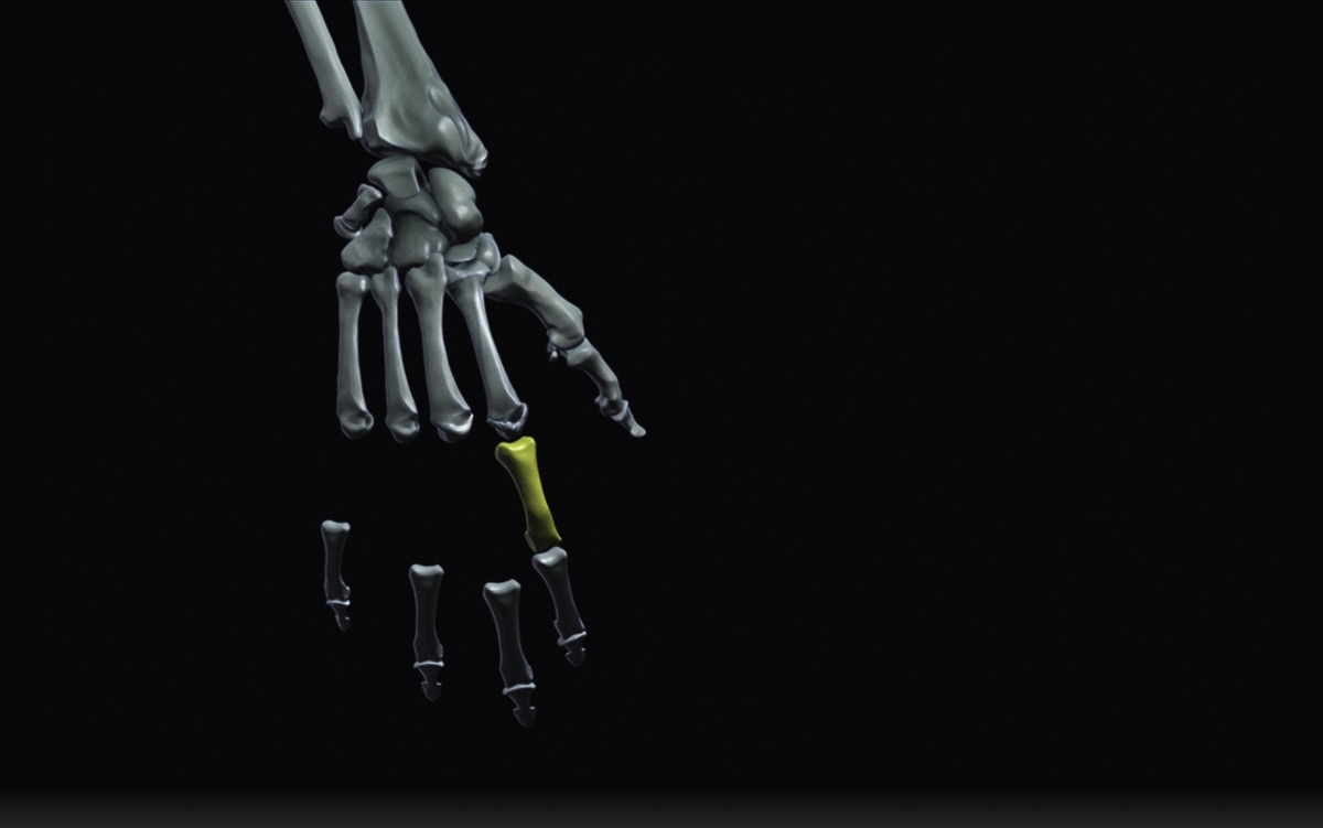 Hands3