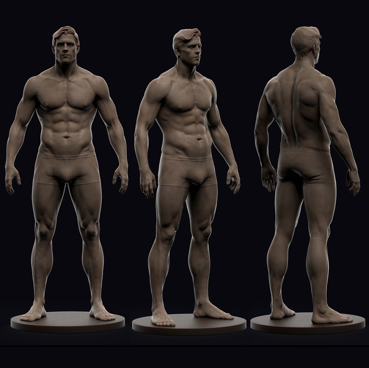 male anatomy combine